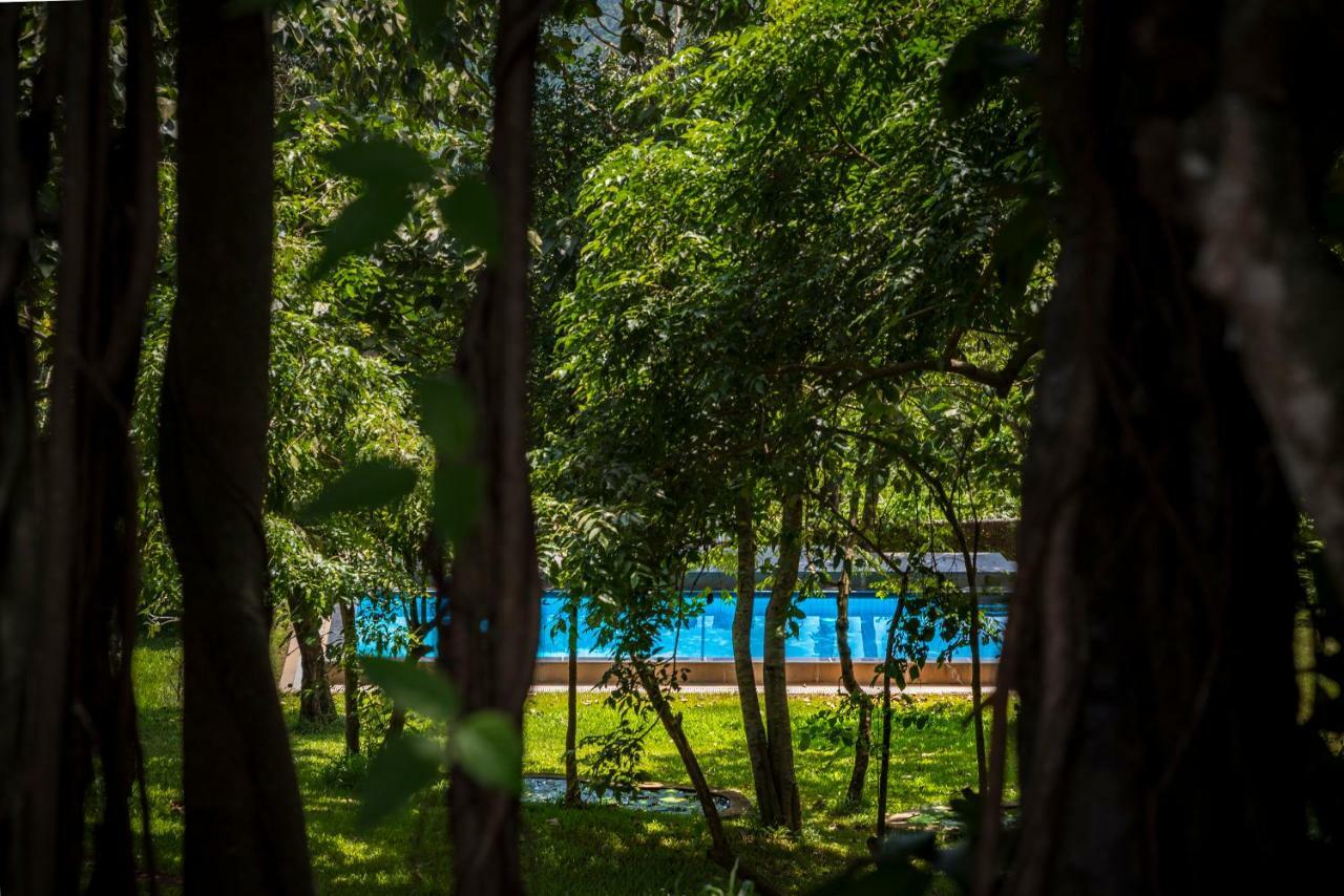Hotel The Postcard Velha, Goa Velha Goa Exterior foto